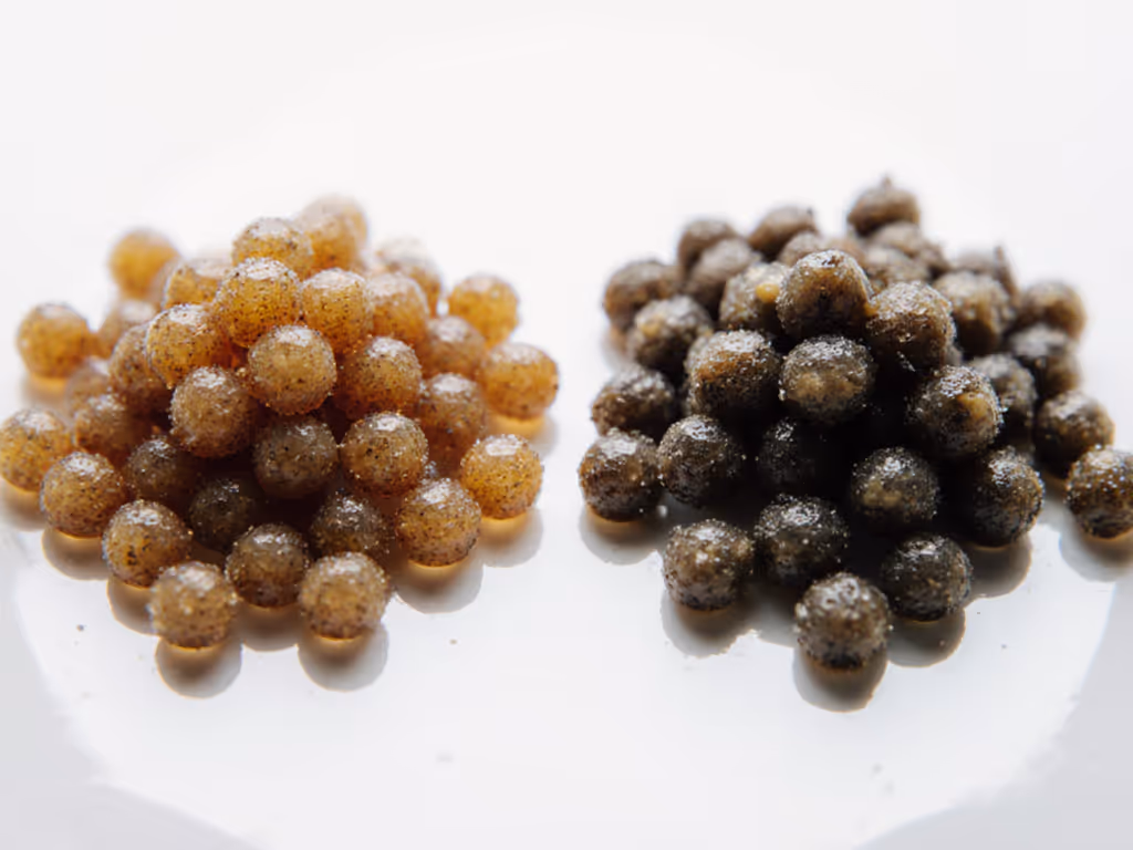 close-up_of_dry_fish_pellets_vs_clumped_wet_pellets