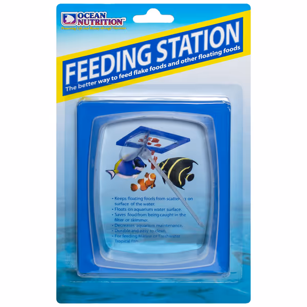 Feeding Station for Fish